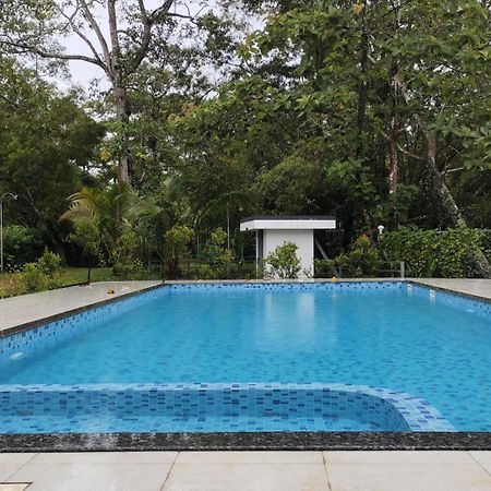 Marari Beach Palace Mararikulam Eksteriør bilde